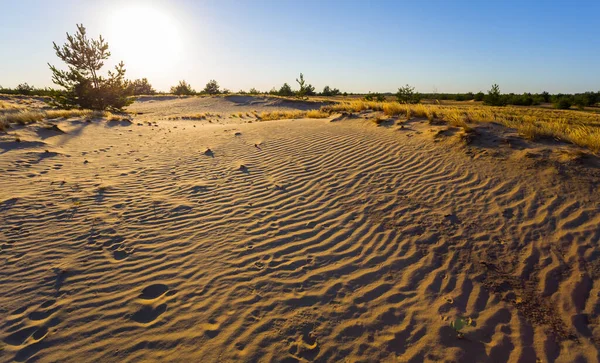 Szeroka Piaszczysta Pustynia Zachodzie Słońca — Zdjęcie stockowe