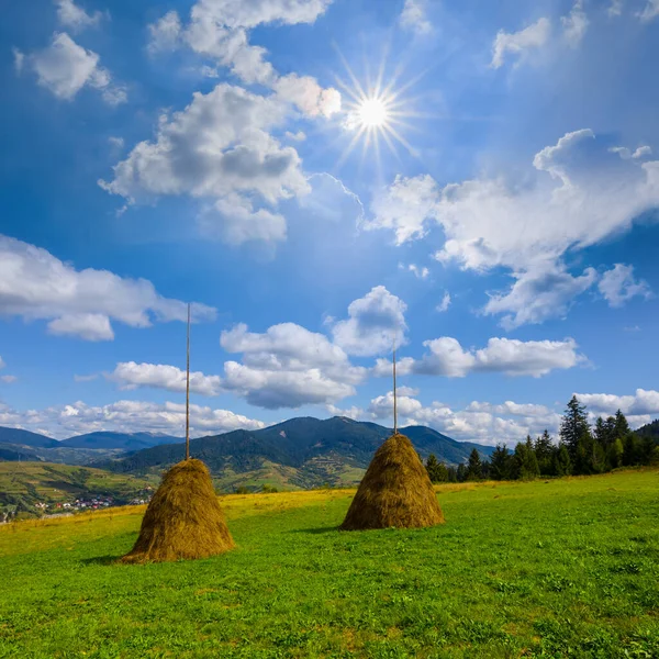 夏の晴れた日に干し草と緑の山の牧草地 — ストック写真