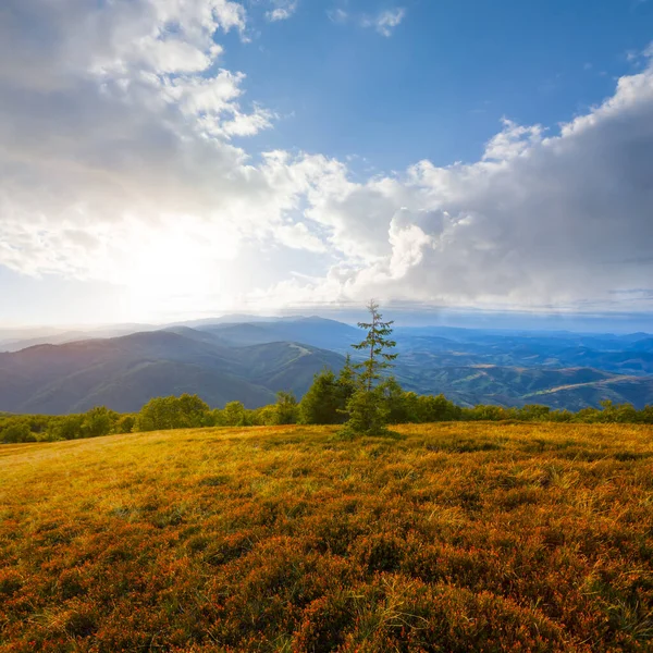 View Mountain Valley Sunset — Stock Photo, Image