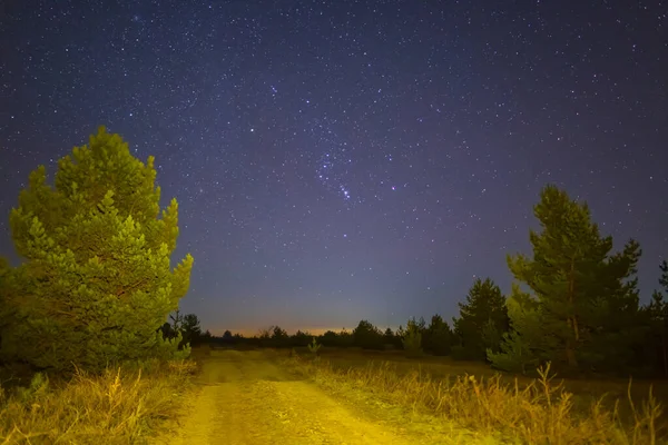 Estrada Terrestre Através Floresta Noturna Sob Constelação Orion — Fotografia de Stock