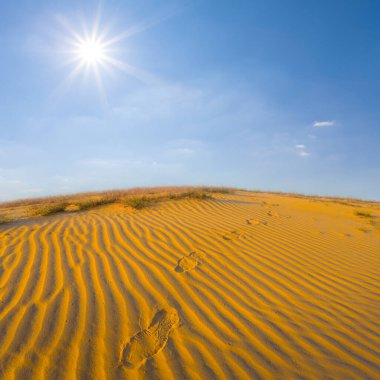 sandy desert landscape  at the summer sunny day