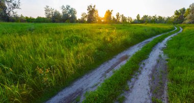 green prairie with ground  road at the sunset, summer evening countryside scene