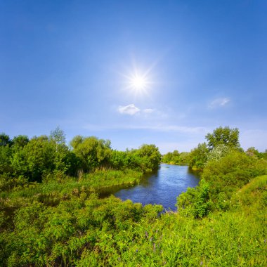 small calm river at summer sunny day, beautiful summer countryside landscape