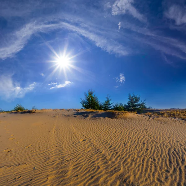 Sandy Desert Landscape Summer Sunny Day — Stockfoto