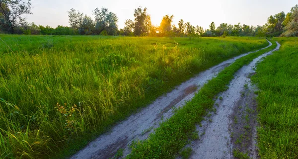 green prairie with ground  road at the sunset, summer evening countryside scene