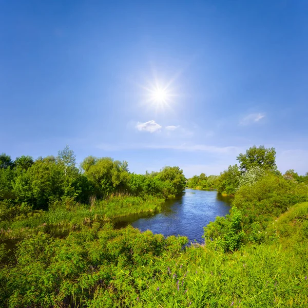 small calm river at summer sunny day, beautiful summer countryside landscape