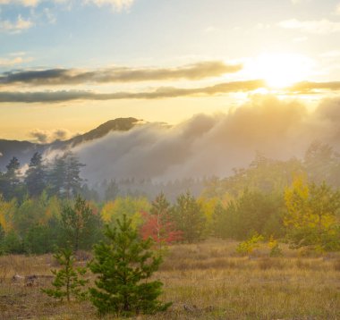 mountain valley with forest at the sunset