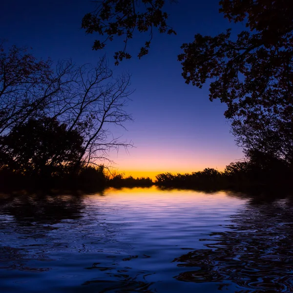 树型轮廓在日落后倒映在水面上 黄昏时在森林中平静的湖面上 — 图库照片