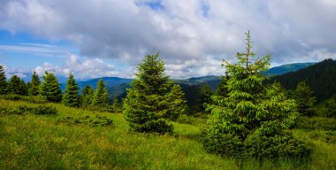 Güzel geniş yeşil dağ vadisi yoğun bulutlu gökyüzü, yaz yolculuğu sahnesi