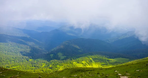 Zielony Las Jodłowy Mglistej Dolinie Górskiej — Zdjęcie stockowe