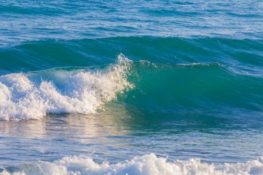 Zümrüt deniz vavları kıyıya yakın, yaz mevsimi sahnesi.