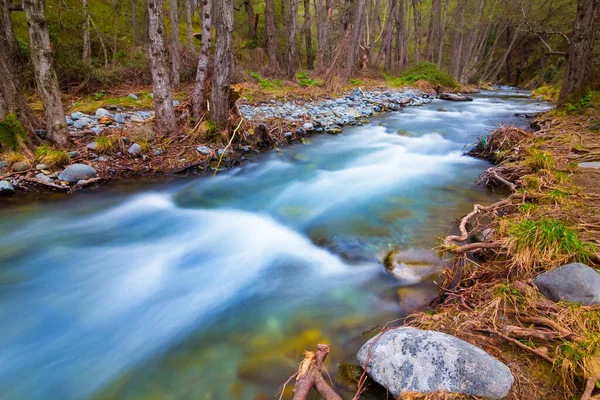 Beautiful Rushing Mountain River Scene — Stock Photo, Image