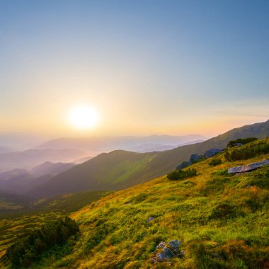 Yeşil Dağ Vadisi Sabah erken saatlerde, Yaz Dağı Seyahat Sahnesi