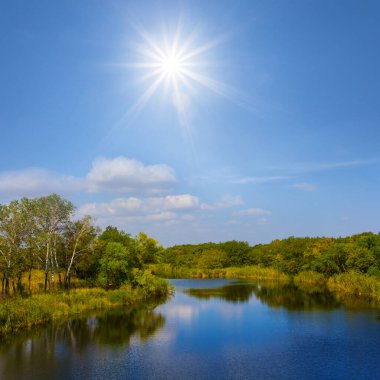 Güneşli yaz gününde sahilde ormanlı sakin bir nehir.