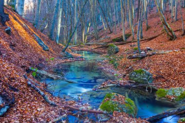 güzel zümrüt nehri dağ kanyonundan akar kırmızı kuru yapraklarla kaplıdır, sonbahar nehri manzarası