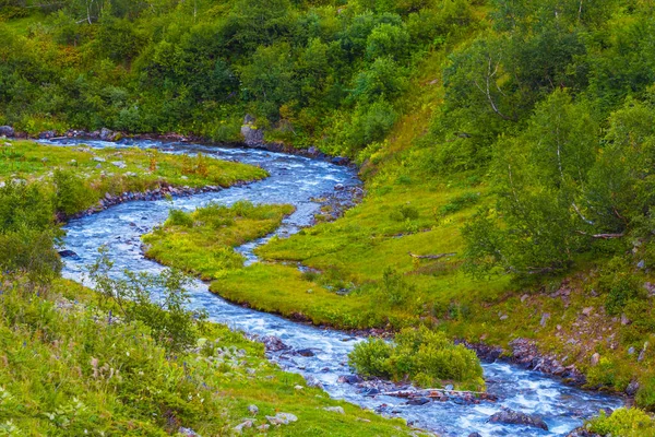 Yakın Dağ Nehri Yeşil Vadi Arasında Akıyor — Stok fotoğraf
