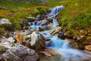 Dağ deresi kocaman taşların arasında akıyor.