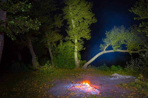 Orman Ormanındaki Küçük Kamp Ateşi — Stok fotoğraf