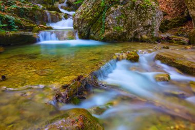 Zümrüt Grook dağ kanyonunda koşuyor kırmızı kuru yapraklarla kaplı, sonbahar nehri manzarası