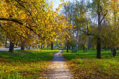 Sonbahar parkın içinden küçük yol
