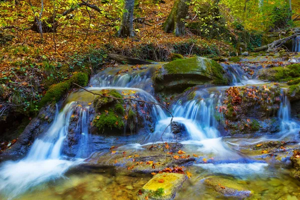 Nehirdeki küçük şelale dağ kanyonundan akar, sonbahar dağ nehri manzarası
