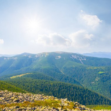 Güneşli yaz gününde yeşil dağ zincirleri