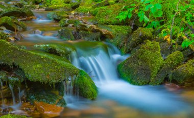 Dağ kanyonunda akan küçük dere