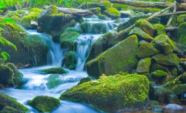 Dağ kanyonunda akan küçük dere