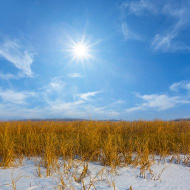 Kış güneşli bir günde karlı çayırlarda