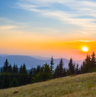 Gün batımında yamaçta orman silüeti olan yeşil dağ vadisi