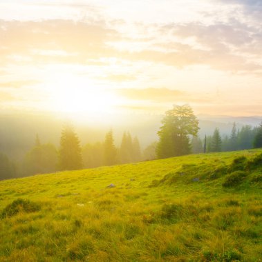 Yeşil dağ vadisi, gün doğumunda, erken dönem, kasvetli dağ manzarası.