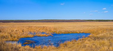 Geniş çayırların arasında küçük mavi bir göl