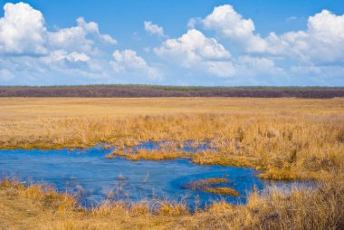 Geniş çayırların arasında küçük mavi bir göl
