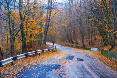 Dağda asfalt yol, sonbahar doğal seyahat sahnesi.