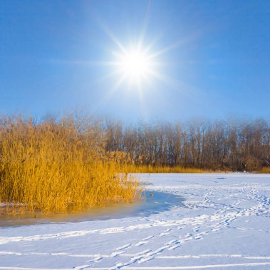 Kış donmuş nehir güneşli kış gününde