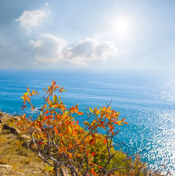 Güneşli bir günde uçurumdan zümrüt denize bak.