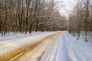 # Karlı ormanda kara giden yol #