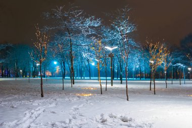 Geceleri fenerle karlı bir park.
