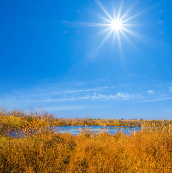 Kleiner Blauer See Mit Schilf Der Küste Sonnigen Tag — Stockfoto