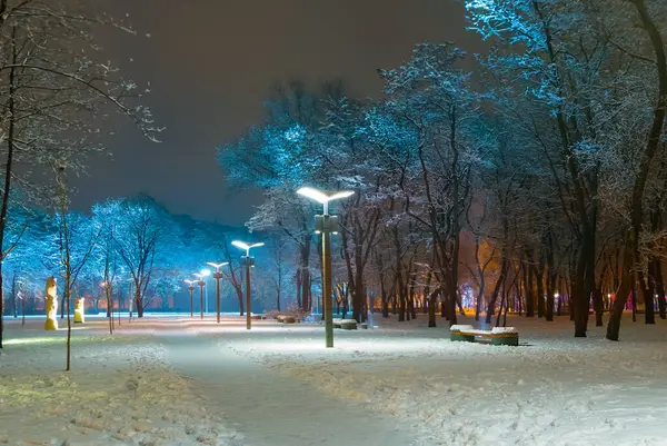 Geceleri fenerle karlı bir park.