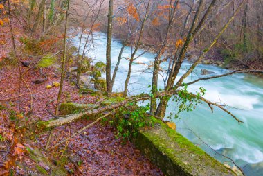 Zümrüt nehri dağ kanyonunda akıyor, sonbahar dağı nehir manzarası.