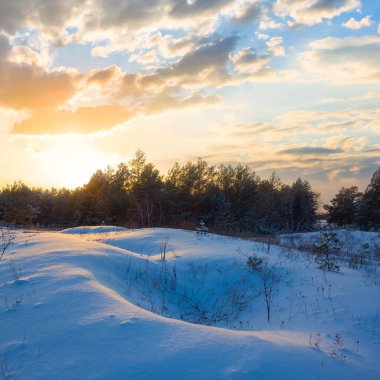 Gün batımında karlı ormanlık arazide