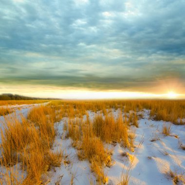 Karlı çayırlarda dramatik günbatımında