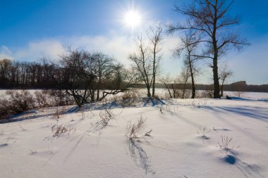 Karla kaplı orman güneşli kış gününde
