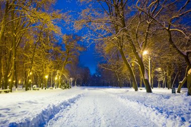 kış geceleri grubunu park