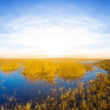Bahar güneşli bir günde geniş bir çayırı sular altında bıraktı.