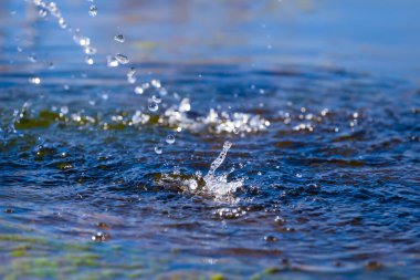 Su akıntısı su birikintisine düşer.