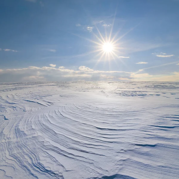 snowbound plain under a sparkle sun, beautiful winter natural scene