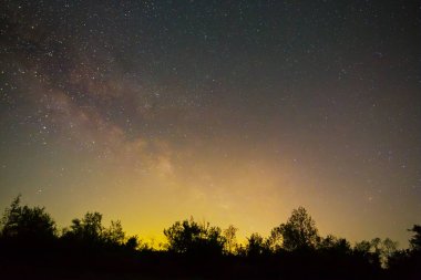 Gece yıldızlı gökyüzü Orman siluetinin üzerinde Samanyolu ile