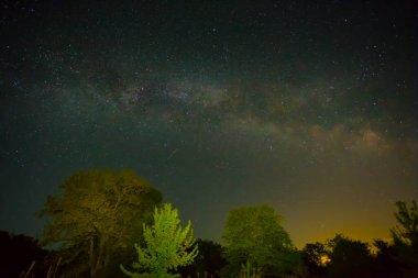 Gece yıldızlı gökyüzü Orman siluetinin üzerinde Samanyolu ile